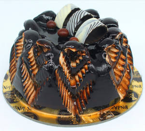 Chocolate Coated Mousse Cake