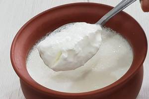 Plain Curd