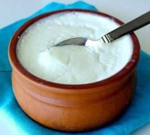 Plain Dahi