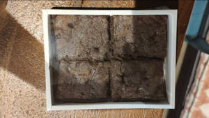 Brownie (1 Piece)