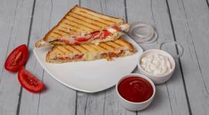 Cheese N Tomato Sandwich