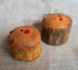 Vanilla Muffin