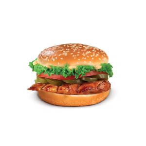 Mexican Grill  Burger