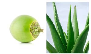 Tender Coconut Aloevera Juice (750 ml)