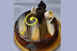 Alpine Choco Veg [large]