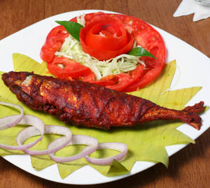 Ayala [ Indian Mackerel ] Fry    