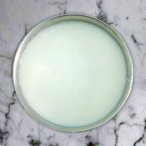 Plain Curd