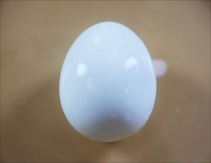 Boiled Egg