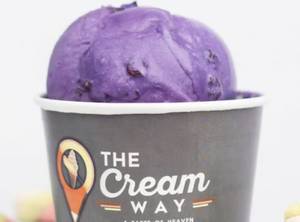 BlackCurrant Ice Cream