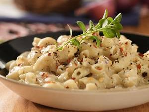 Alfredo  Pasta