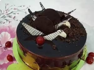 Choco Truffle Cake                                                       
