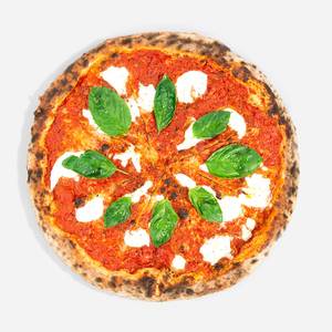 Margherita Pizza[Veg., 9 Inch]