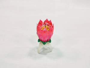 Lotus Candle