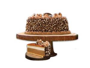Swiss Chocolate Ice Cream Cake