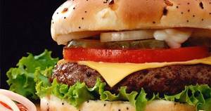 Chapli Kabab Burger Chi Or Mutton