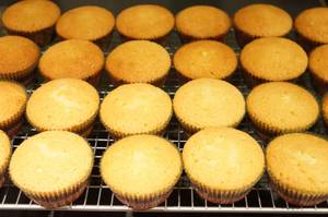 Cupcakes - Vanilla