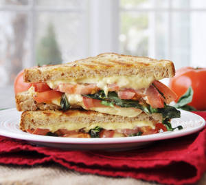 Veg Cheese Grilled Sandwich