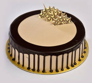 Choco Delight Cake Square (350 gms)                                                                                                    