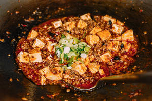 Silk Tofu With Veg Any Sauce Veg / Nonveg[Mapo Tofu,Kungpao,Black Bean,Ginger Soya]