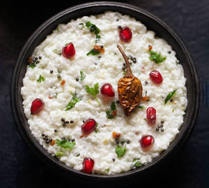 Curd Rice