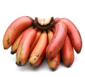 Red Banana Boost Milk Shake (750 ml)