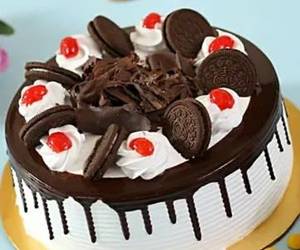 Oreo Forest Cake (1 Pound)