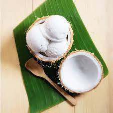 Coconut Natural Ice Cream 1 Scoop 