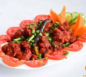 Gobi 65