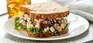 Mexican Veg Sandwich