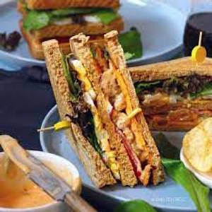 Tandoor snadwich
