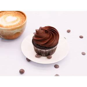 Belgium Chocolate Cupcake