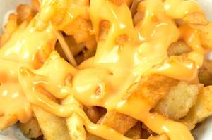 Cheesy Fries