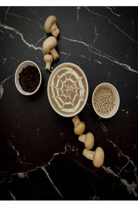 Mushroom Cream Soup