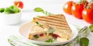 Veg Grilled  Sandwich
