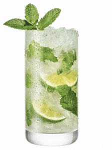 Mojito Mint