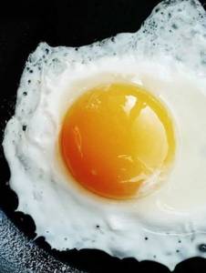 Egg Bullseye Single