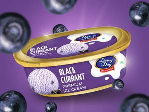 Black Currant Premium Ice Cream Tub 500ml