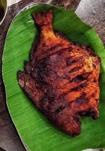 Pomfret Tawa Fry
