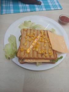 Veg Grill Cheese Sandwich