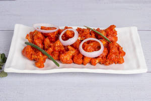 Gobi 65