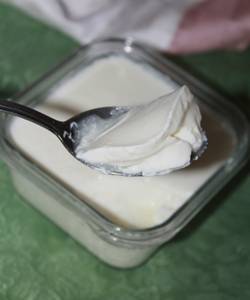 Plain Curd