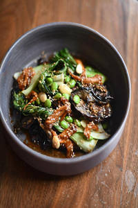 Aubergine Teriyaki ( V )