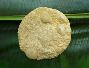 Pappadam