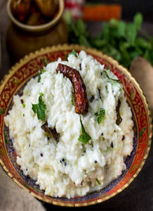 Curd Rice