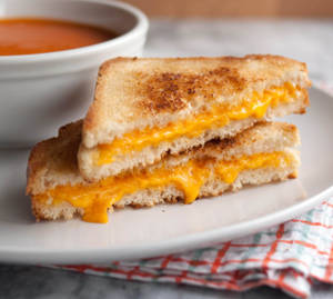 Cheese Sandwich