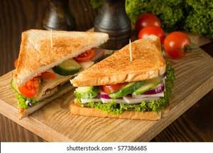 Veg sandwich                  