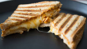 Pizza Grilled Sandwich