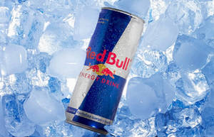 Red Bull Energy Drink [250 Ml]