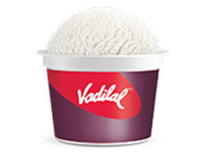 Vanilla No Sugar Cup (100 Ml)