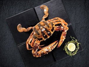 Sea Crab